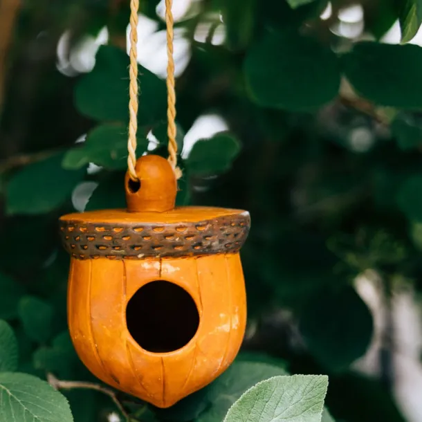 Acorn Terracotta Birdhouse