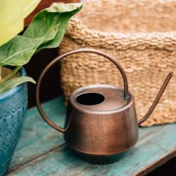 Antique Copper Watering Can
