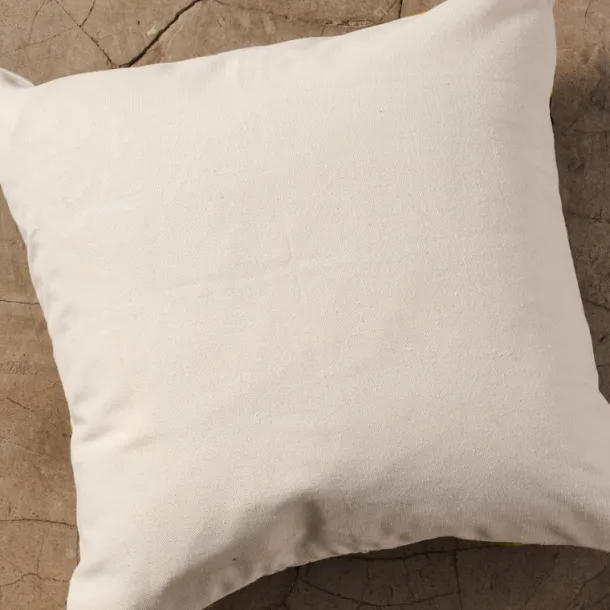 Baga Embroidered Pillow