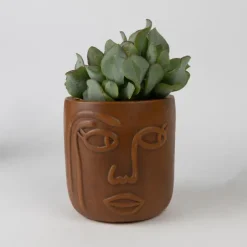 Big Brown Eyes Terracotta Face Planter