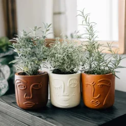 Big Brown Eyes Terracotta Face Planter