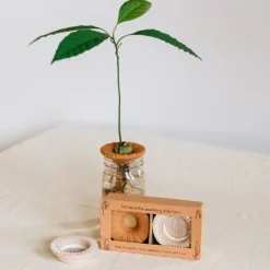 Bija Floral Seed Sprouter Set