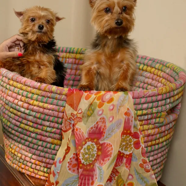 Bright Day Laundry Basket