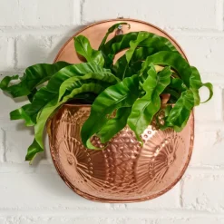 Dekhava Embossed Wall Planter