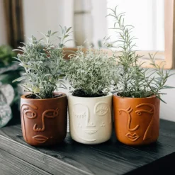 Full Lashes Terracotta Face Planter