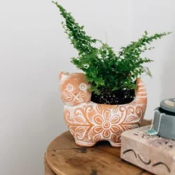 Garden Kitty Planter