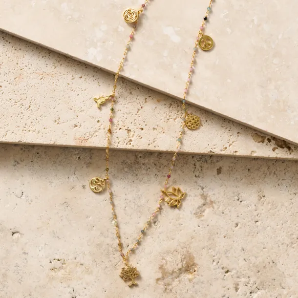 Good Fortune Charm Necklace