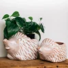 Hedgehog Planter