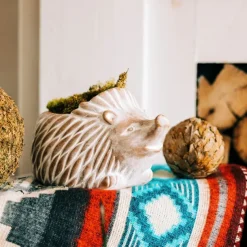 Hedgehog Planter