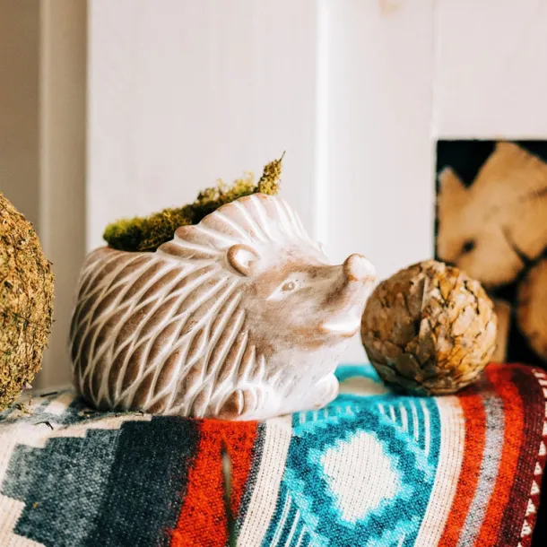 Hedgehog Planter