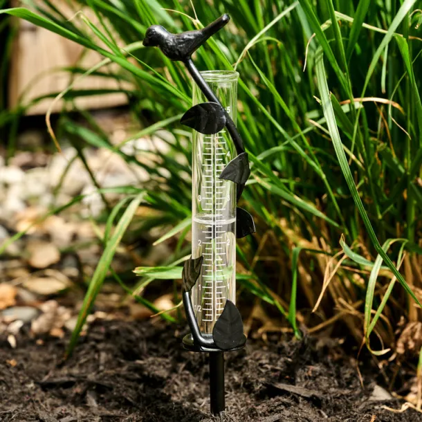 Indira Cast Iron Rain Gauge