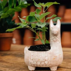 Llama Terracotta Planter