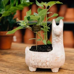 Llama Terracotta Planter