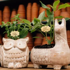Llama Terracotta Planter