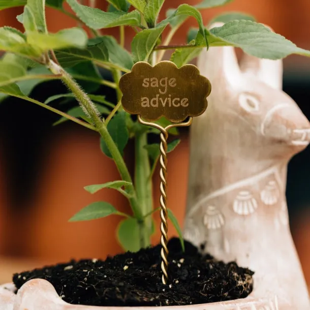 Plant Markers - Mindful