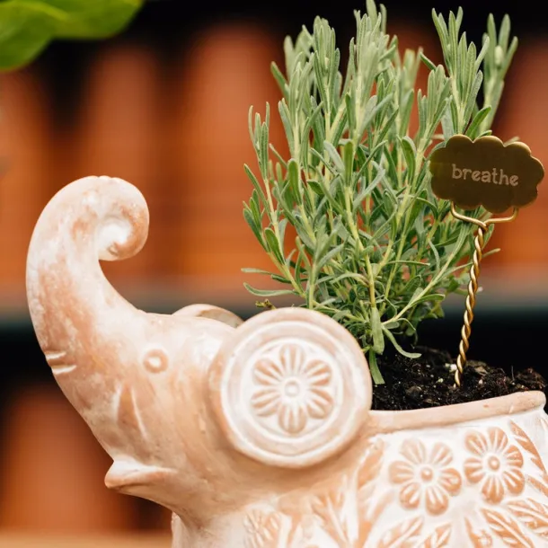 Plant Markers - Rest