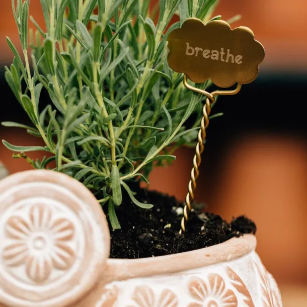 Plant Markers - Rest
