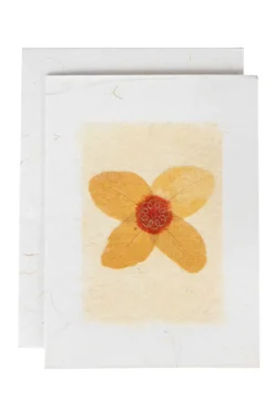 Pressed Daisy Handmade Card