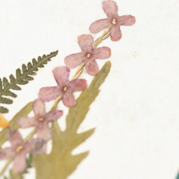 Secret Garden Card