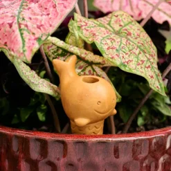 Self Watering Plant Pet - Whale