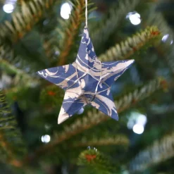 Silver Sky Star