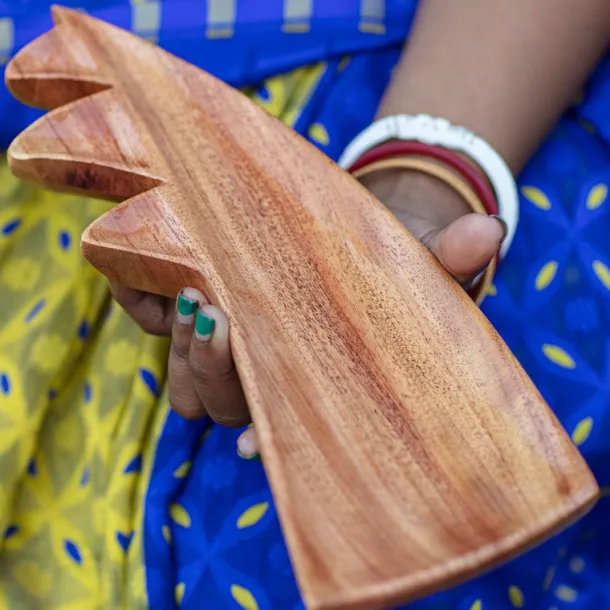 STEGOSAURUS PLATE, neem wood