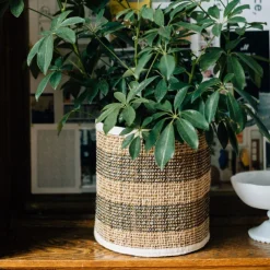 Striped Hogla Basket