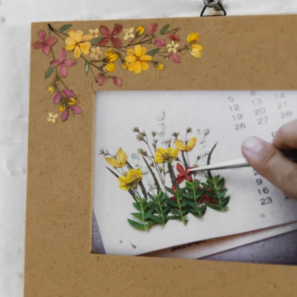 Tala Dried Flowers Double Hanging Frame