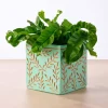 Tila Terracotta Debossed Leaf Planter