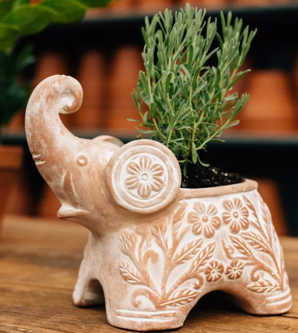 Trumpeting Elephant Planter