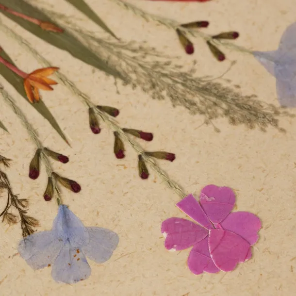 Wildflowers Greeting Card