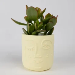 Winky Face Cream Terracotta Planter