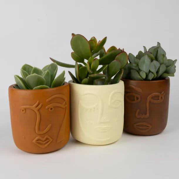 Winky Face Cream Terracotta Planter