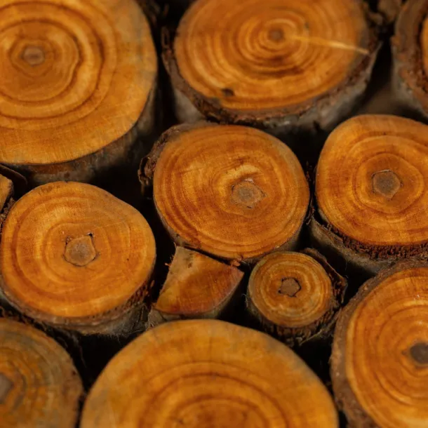 Wood Slice Trivet